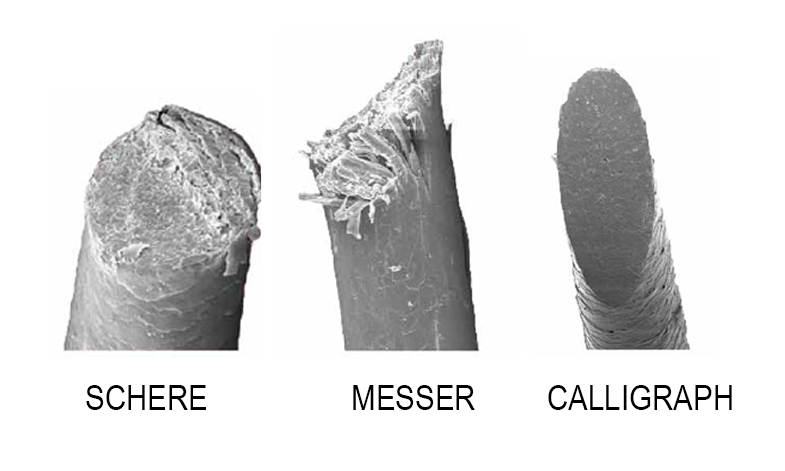 Calligraphy Cut Logo